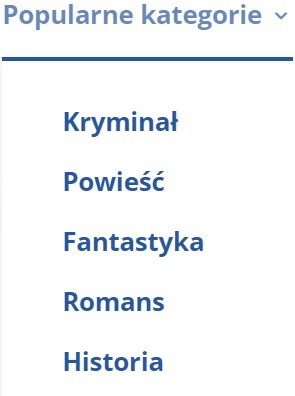 Nieprawidłowe kategorie na blogu - kanibalizacja z menu