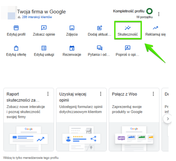 statystki dostępne w panelu firmy w google