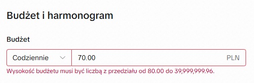 budżet kampanii tik tok zestaw reklam