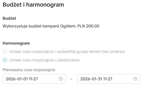 harmonogram budżetu tik tok ads