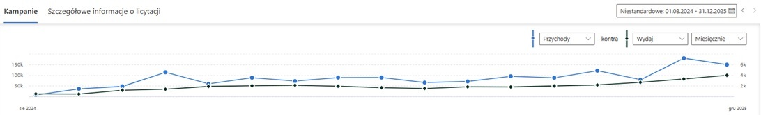 wyniki kampanii Bing Ads