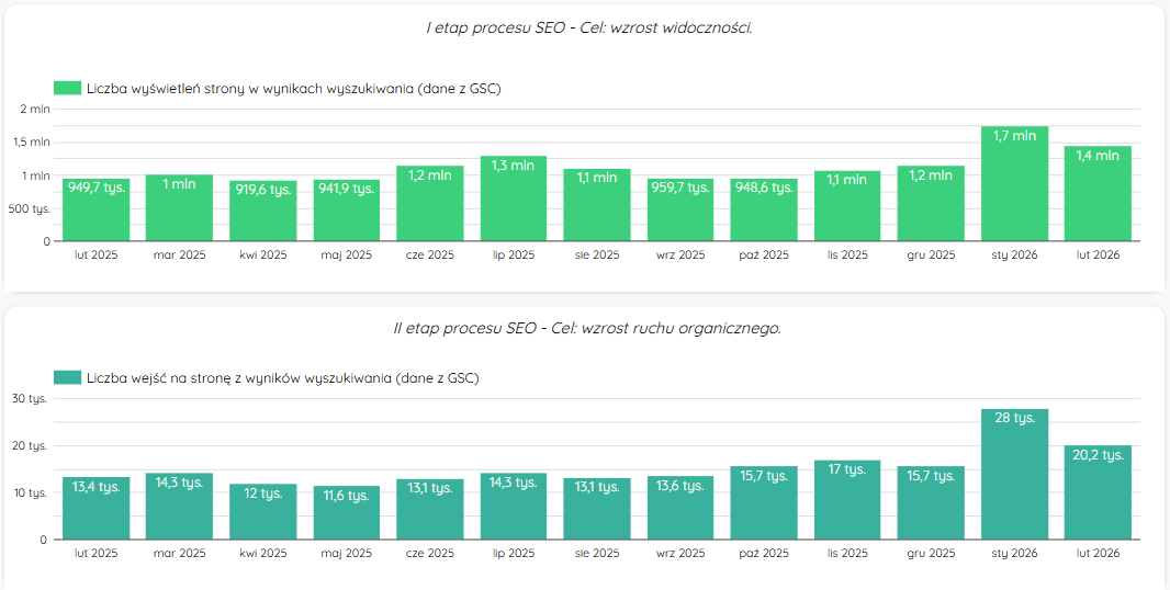 Wzrost widoczności i ruchu w sklepie Iguana według danych z Google Search Console
